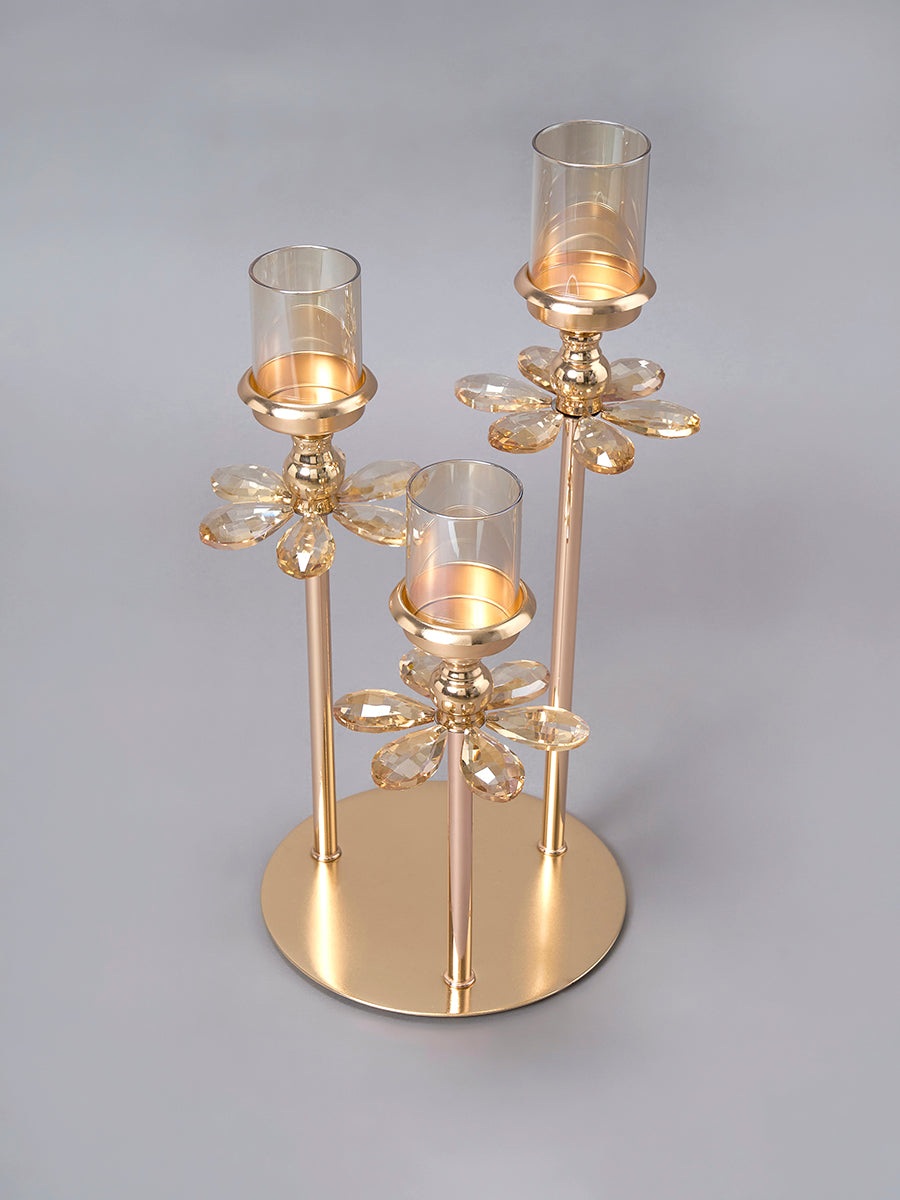 Château Lumière - Trielle