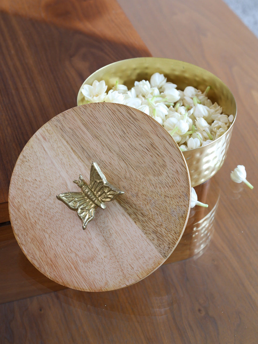 Treasure de Papillons