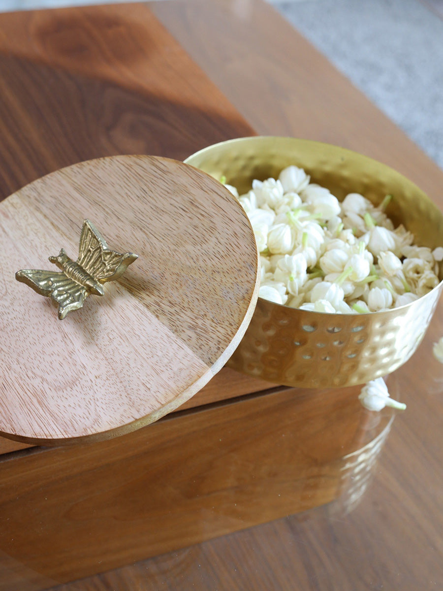 Treasure de Papillons