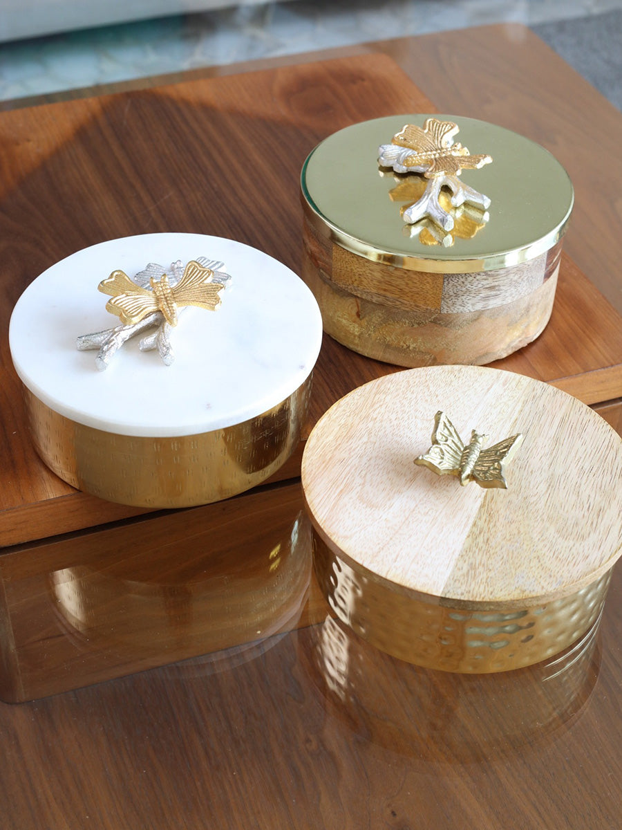 Treasure de Papillons