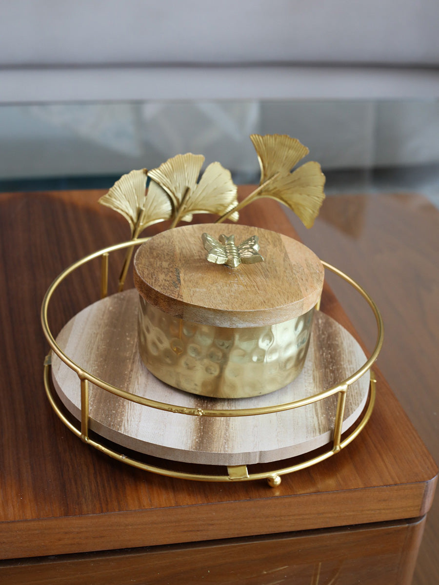 Treasure de Papillons