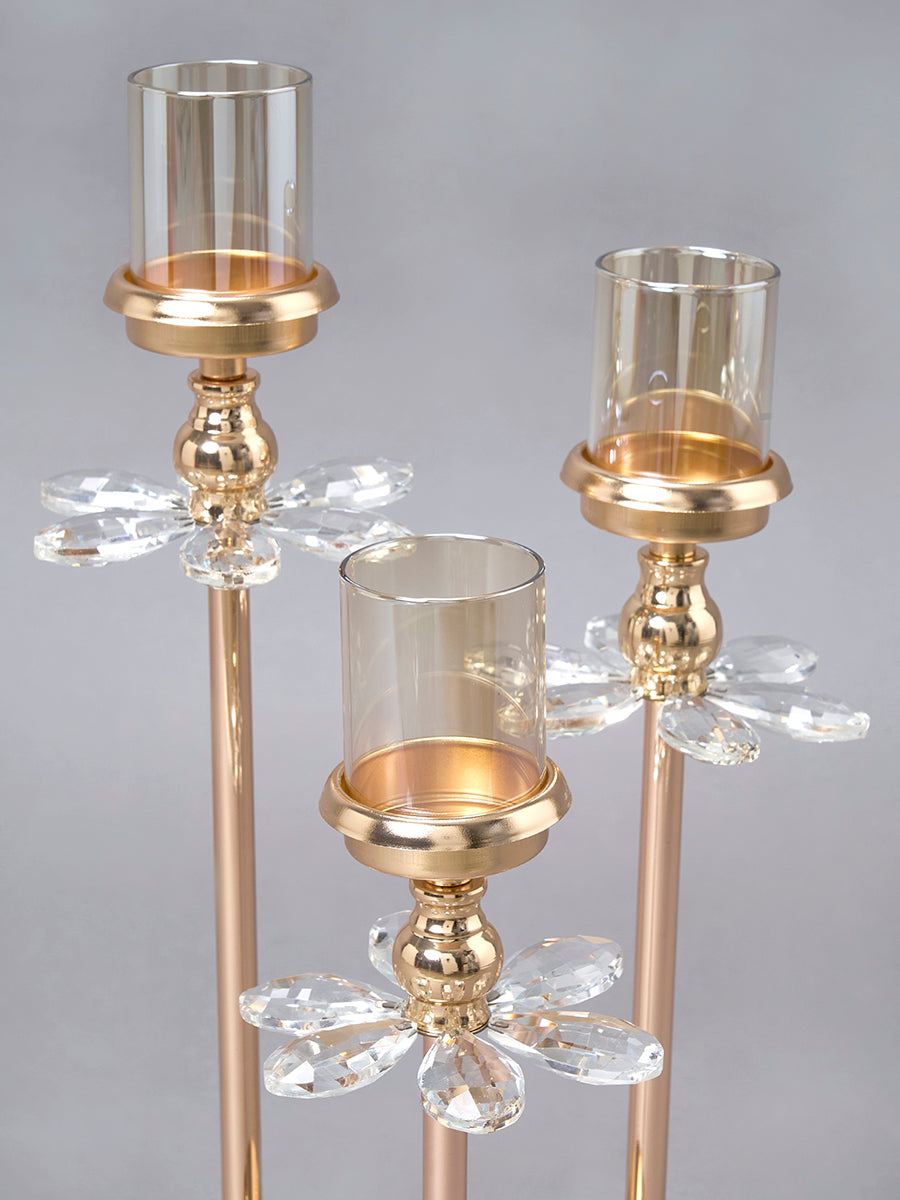 Château Lumière - Trielle