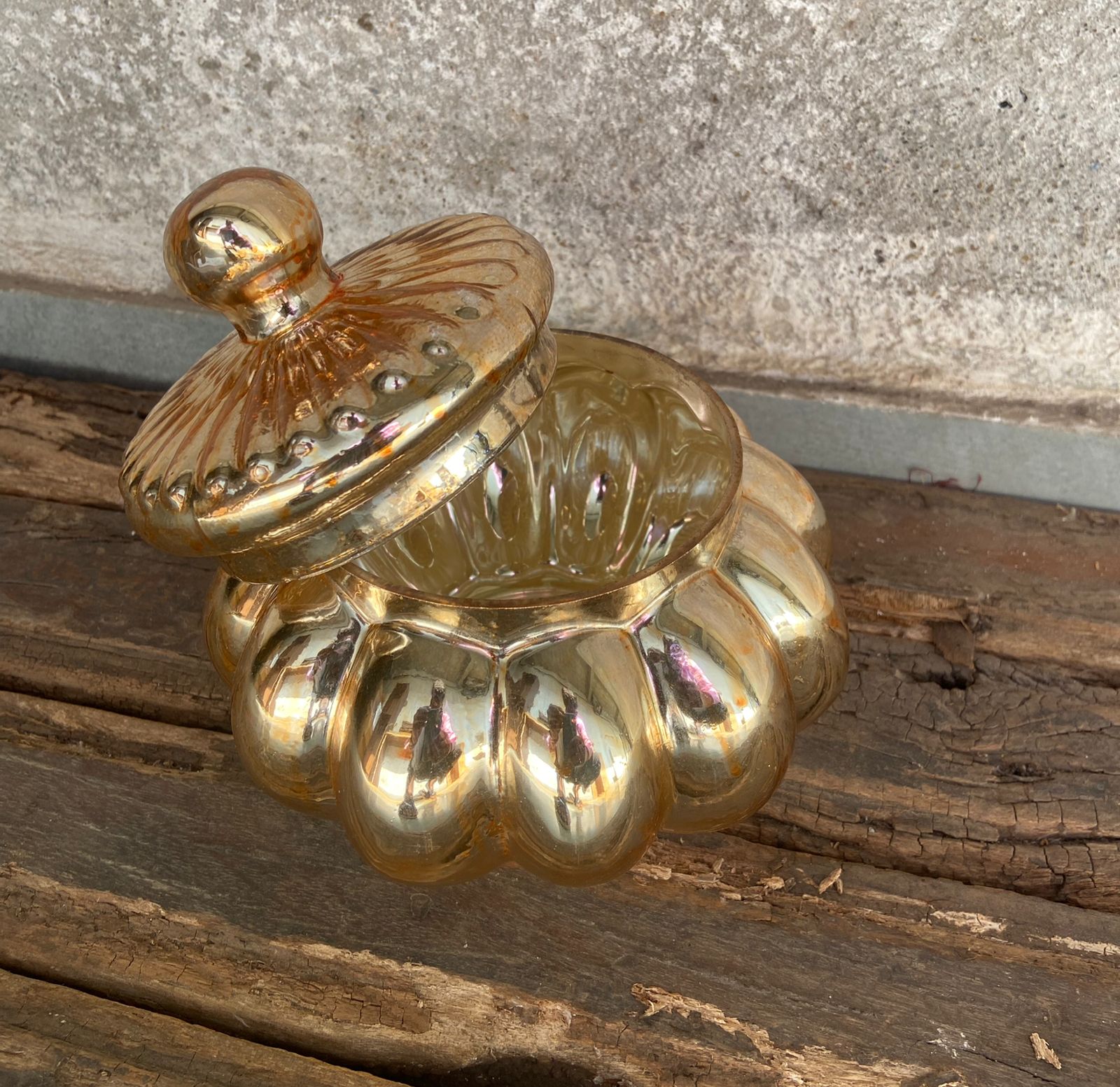 SUNLIT PUMPKIN